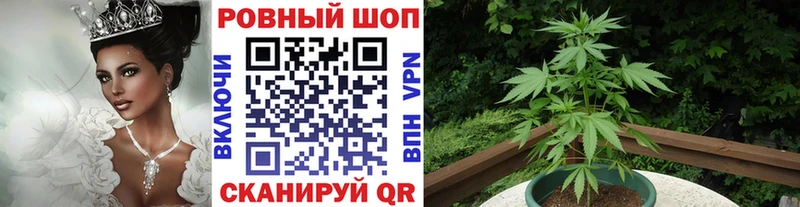 Виды наркотиков купить Дорогобуж ГАШИШ  Alpha PVP  COCAIN  Мефедрон  МАРИХУАНА 