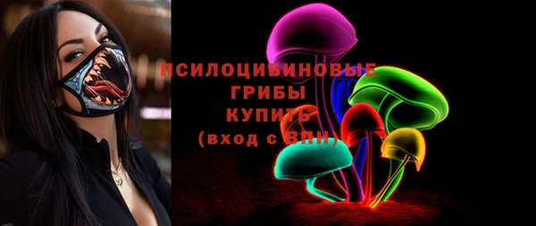 стафф Арсеньев