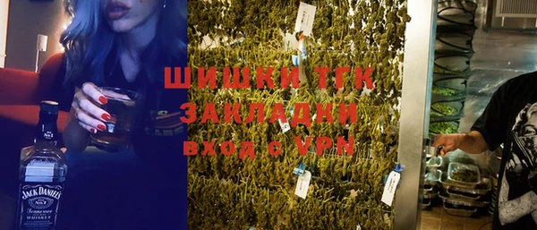 стафф Арсеньев