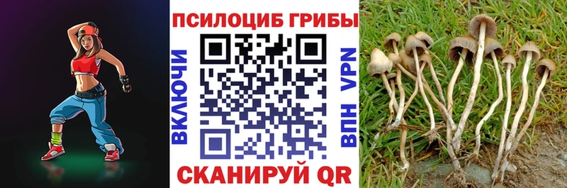 blacksprut вход  Дорогобуж  Псилоцибиновые грибы GOLDEN TEACHER 
